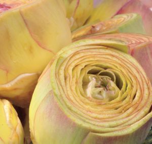 IQF frozen artichoke hearts & artichoke with stem