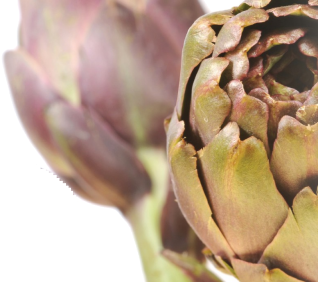 IQF frozen artichoke
