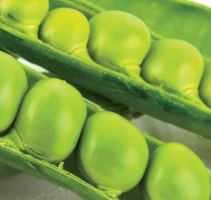 Green peas